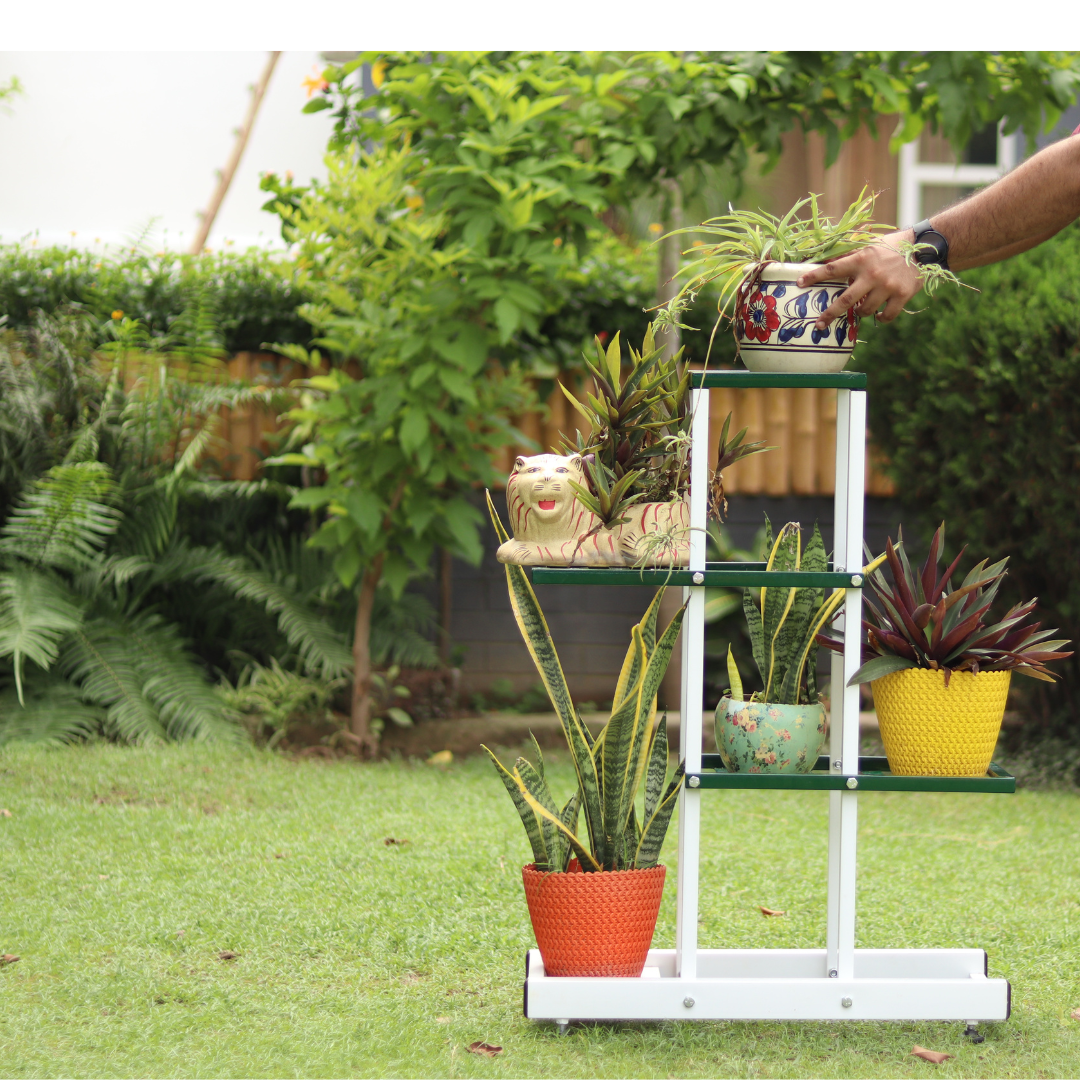 Side-by-Side Plant Stand – Anti-Rust Iron Indoor & Outdoor Pot Stand for Medium-Sized Pots